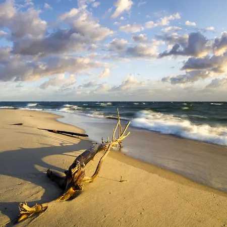 Feriehus In Near Baltic